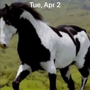 Meet your Posher, Deanna